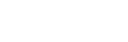 Advance Auto Parts